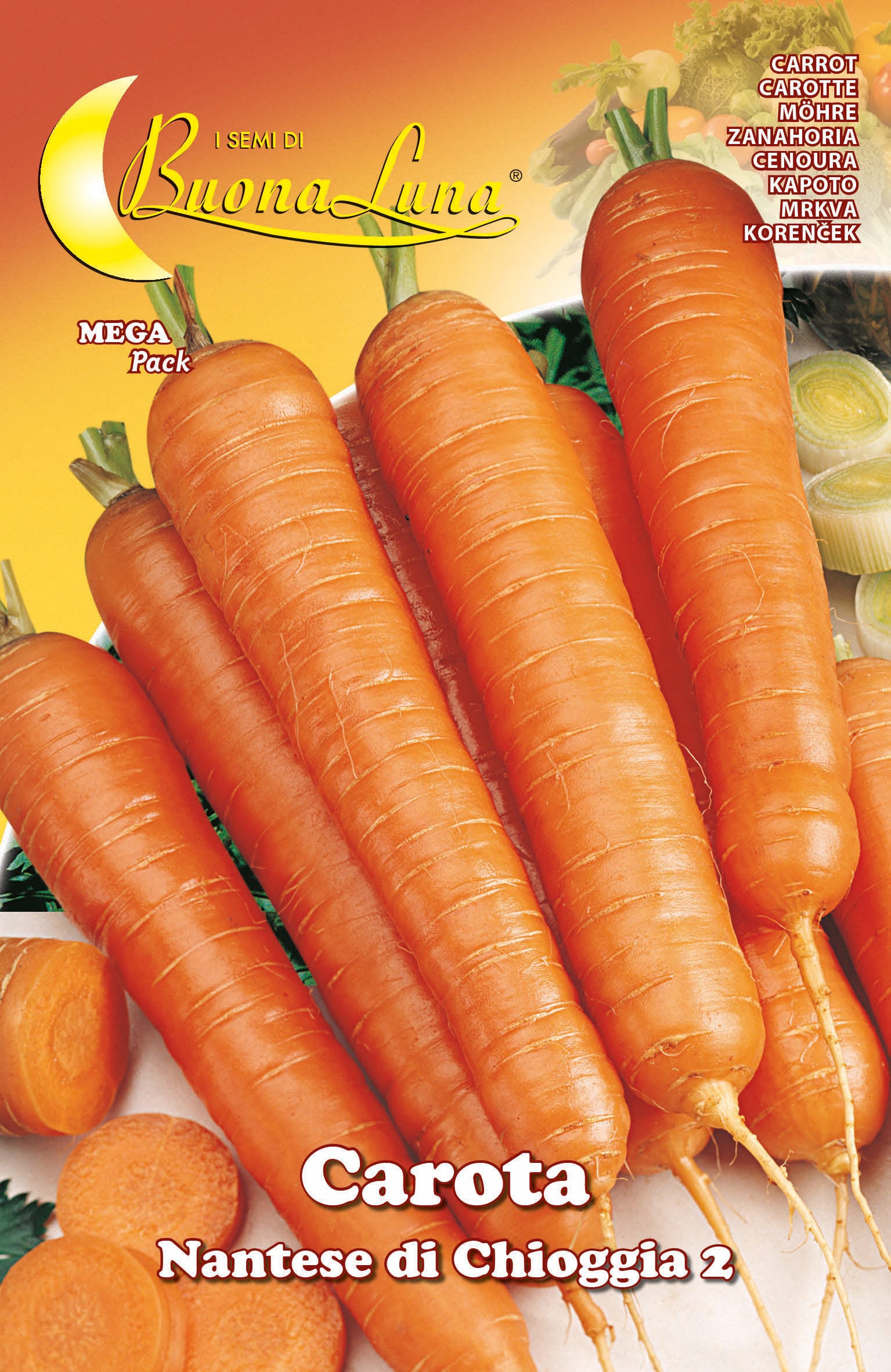 Semi orto carota di chioggia HORTUS SEMENTI