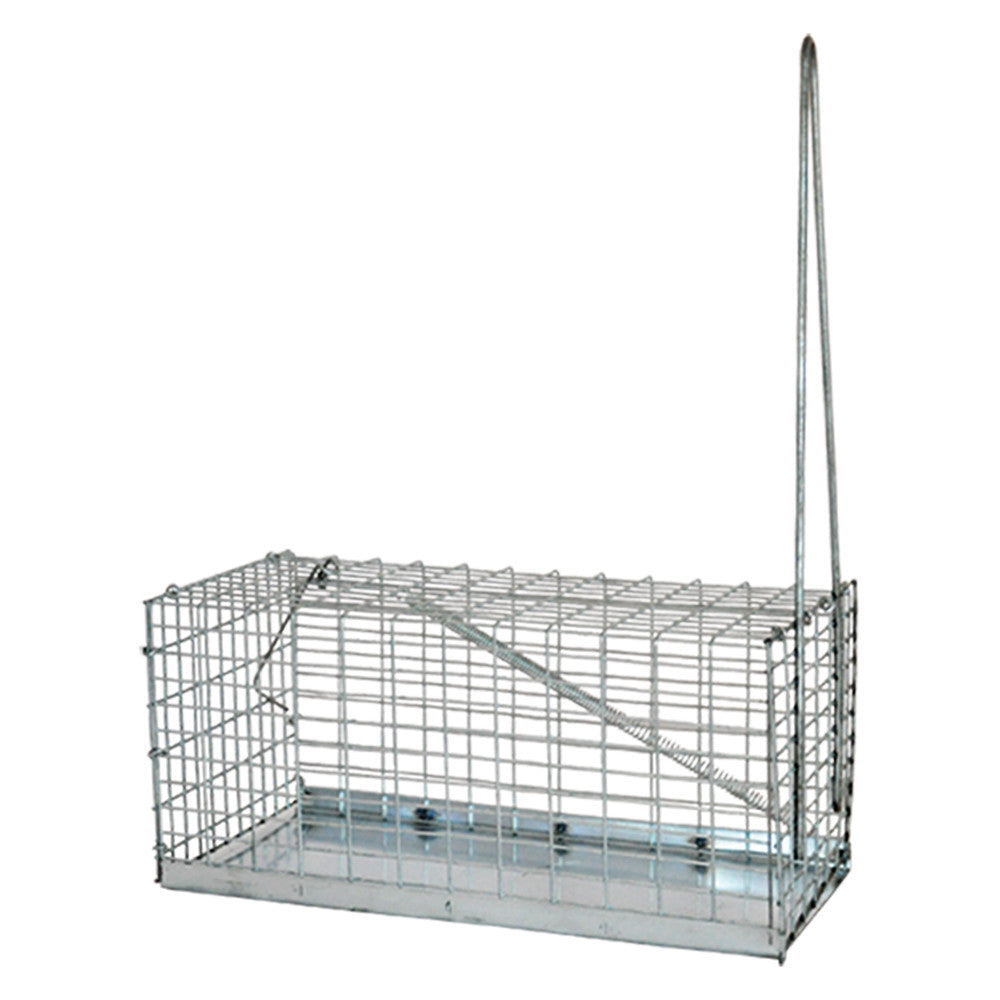 Trappola per topi a gabbia in filo di ferro zincato
